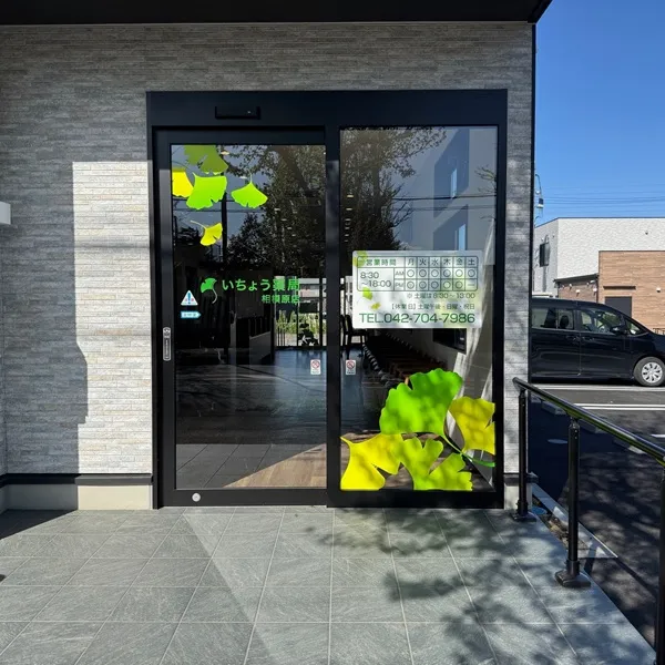 いちょう薬局相模原店
