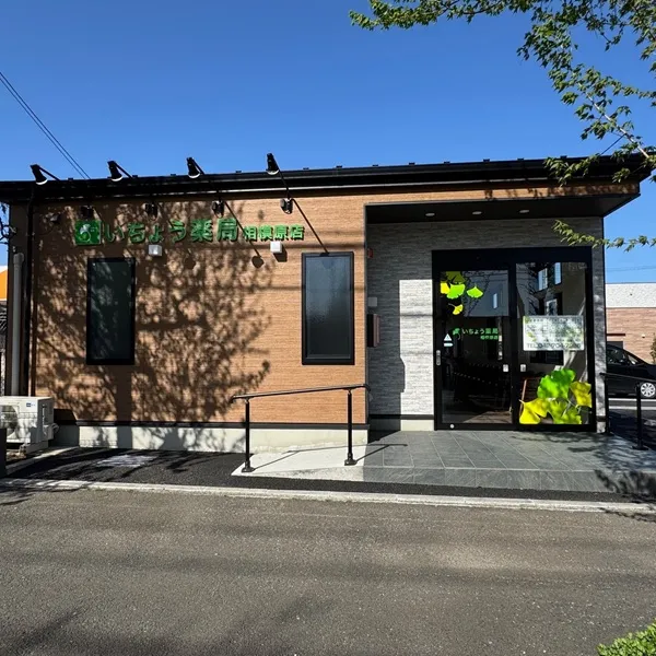 いちょう薬局相模原店