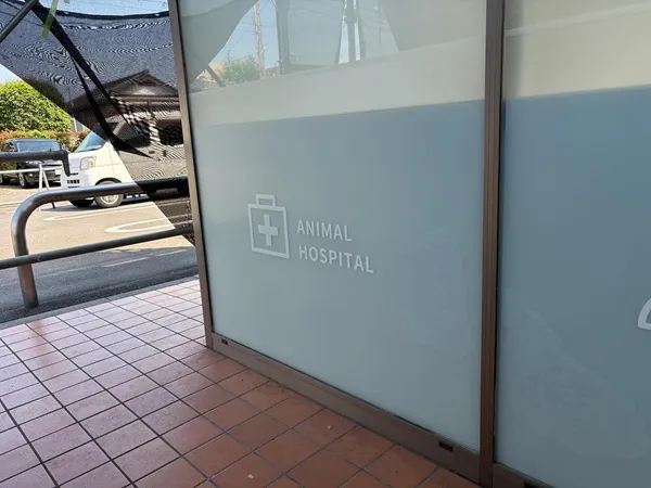 おおにし動物病院ウインドウサイン