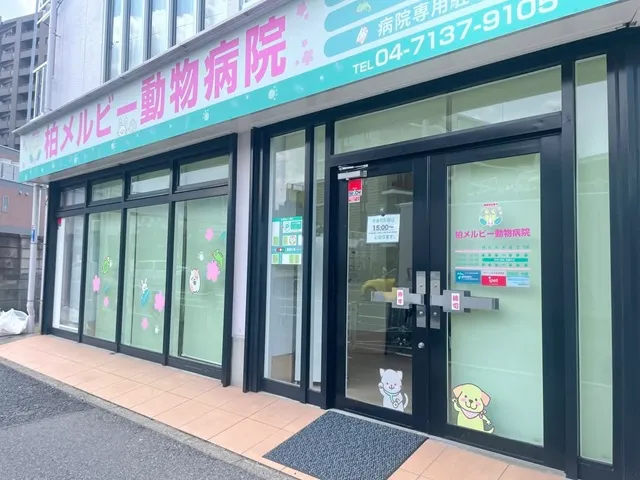 柏メルビー動物病院入口